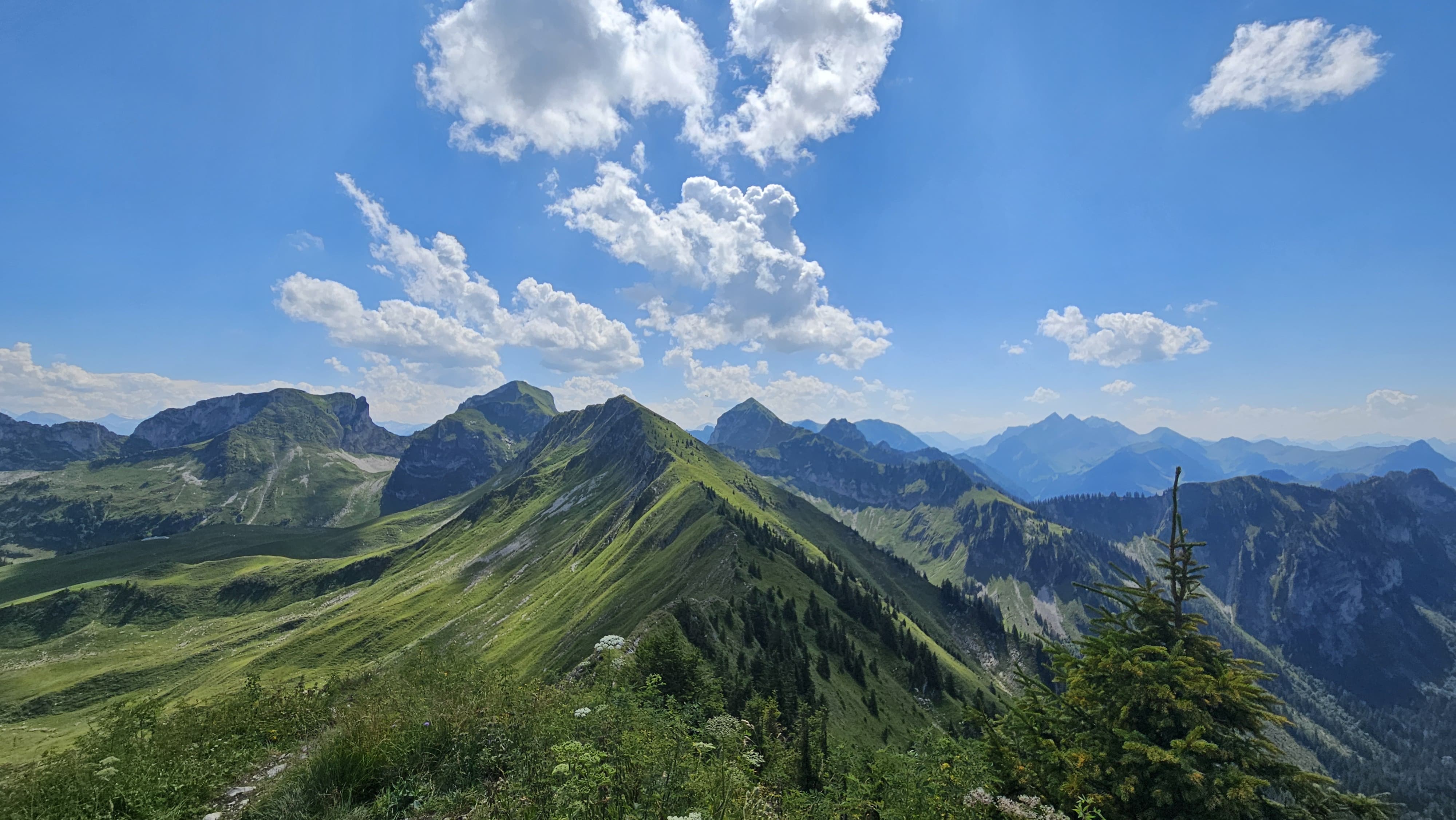 Lac Noir Suisse